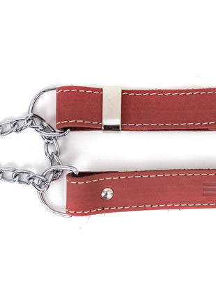 Martingale Coral Reef Leather Dog Collar