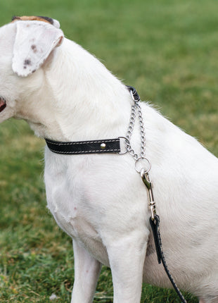 Martingale Midnight Black Leather Dog Collar