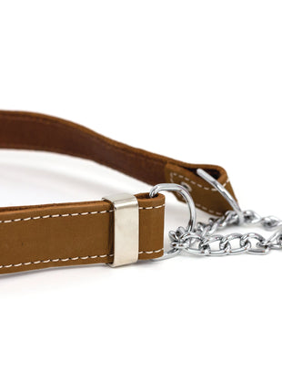 Martingale Earth Brown Leather Dog Collar