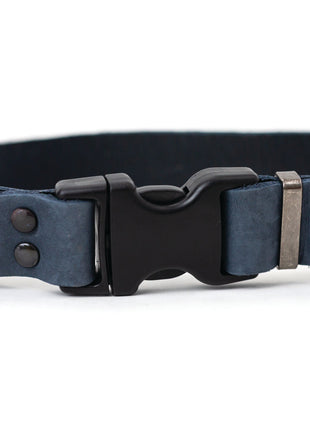 Sport Style Blue Jeans Leather Dog Collar