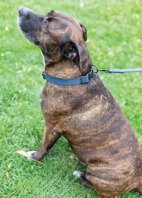 Sport Style Blue Jeans Leather Leash