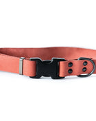 Sport Style Coral Reef Leather Dog Collar