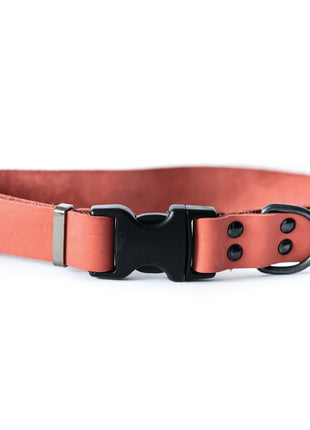 Sport Style Coral Reef Leather Dog Collar