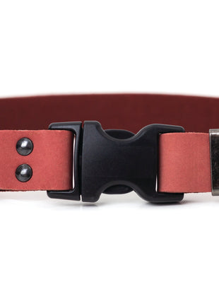 Sport Style Coral Reef Leather Dog Collar