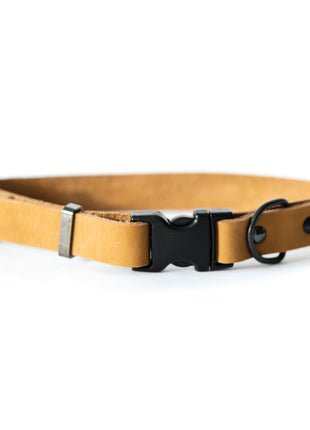 Sport Style Khaki Leather Dog Collar