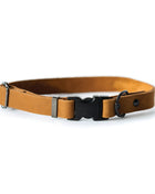 Sport Style Earth Brown Leather Dog Collar