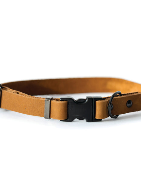 Sport Style Earth Brown Leather Dog Collar