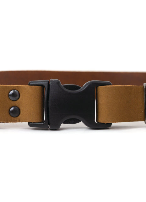 Sport Style Earth Brown Leather Dog Collar