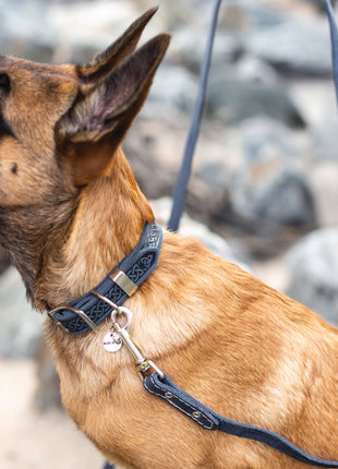 Z Celtic Style Leather Dog Collar