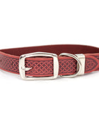 Z Celtic Style Leather Dog Collar