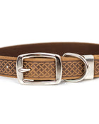 Z Celtic Style Leather Dog Collar