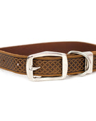 Z Celtic Style Leather Dog Collar