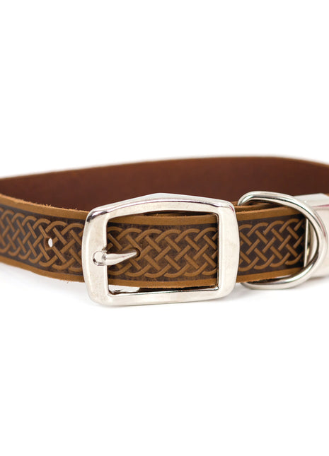 Z Celtic Style Leather Dog Collar