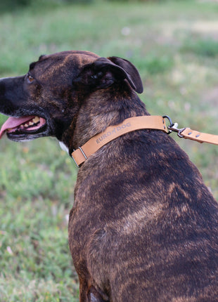 Sport Style Khaki Leather Leash