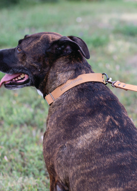 Sport Style Khaki Leather Leash