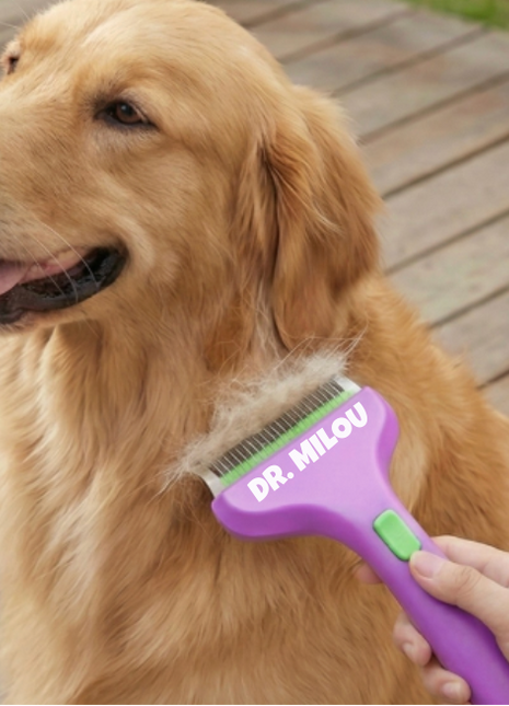 CalmCare Grooming Brush with One-Click Fur Release by Dr. Milou - Pup List
