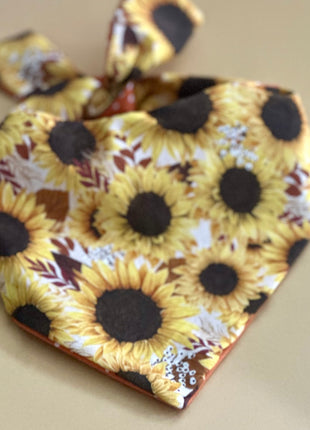 Sunflower Dog Bandana