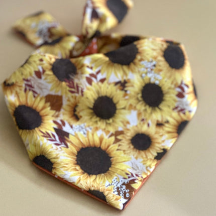 Sunflower Dog Bandana