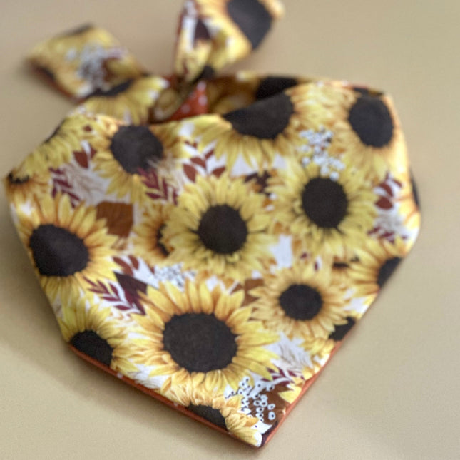 Sunflower Dog Bandana