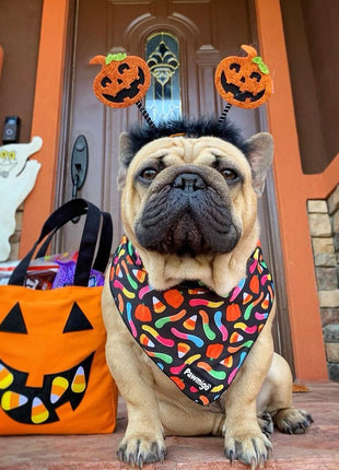 Trick N Treat Cooling Bandana
