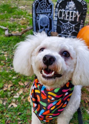 Trick N Treat Cooling Bandana