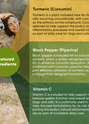 Turmeric - Pup List