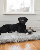 PupRug by Paw.com™ Faux Fur Orthopedic Dog Bed - Rectangle Grey