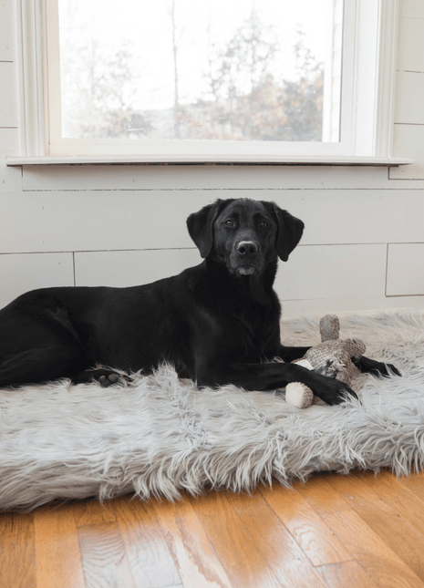 PupRug by Paw.com® Faux Fur Orthopedic Dog Bed - Rectangle Grey