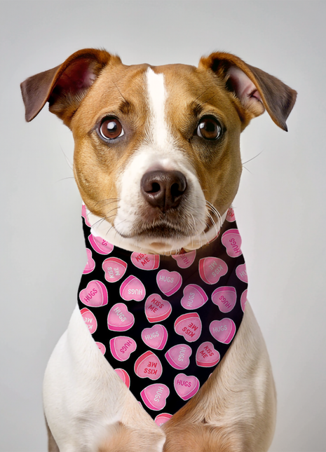 Valentines Day Dog Bandana