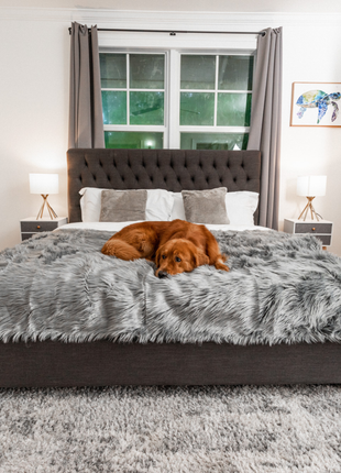PupCloud™ Human-Size Dog Bed + Matching Waterproof Blanket Bundle - Charcoal Grey