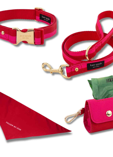 Kate Spade Red & Pink Colorblock Walk Set Small