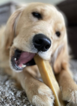 Himalayan Yak Chew (LARGE)