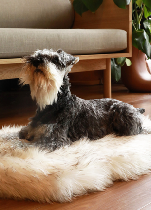 PupRug by Paw.com® Faux Fur Orthopedic Dog Bed - Curve White with Brown Accents