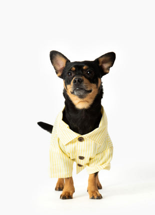 Nantucket Set - Pup List