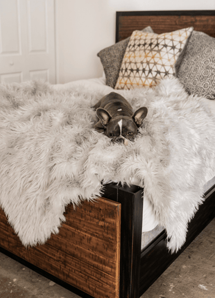 PupProtector™ Waterproof Throw Blanket - Grey