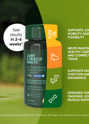 Joint & Muscle Health (Medium & Large Dogs) - Pup List