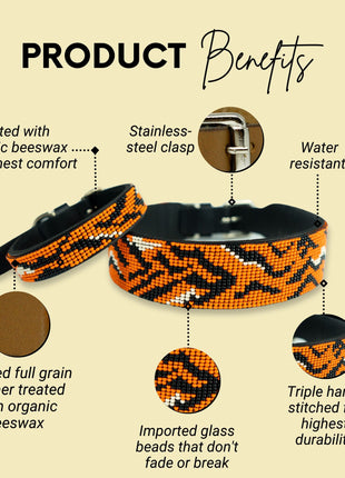 Tiger Sambboho dog collar (animal print collection)