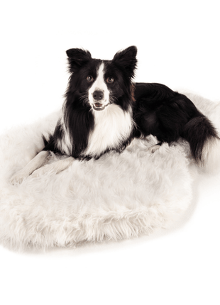 PupRug by Paw.com® Faux Fur Orthopedic Dog Bed - Curve Polar White