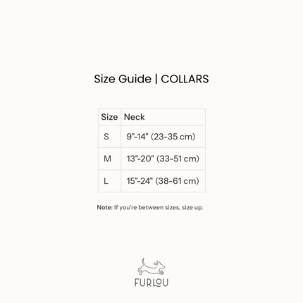 'Black' - Canvas Dog Collar