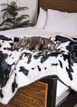 PupProtector™ Waterproof Throw Blanket - Black Faux Cowhide