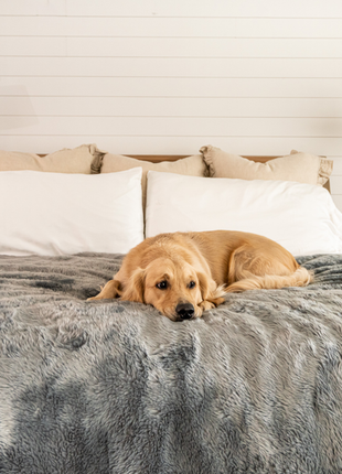 PupProtector™ Short Fur Waterproof Throw Blanket - Charcoal Grey