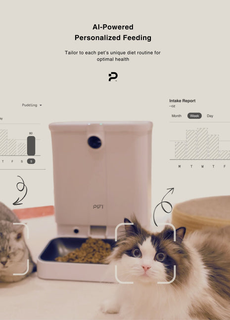 All-in-One Smart Pet Feeder
