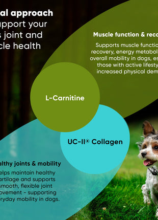 Joint & Muscle Health (Cats & Small Dogs) - Pup List