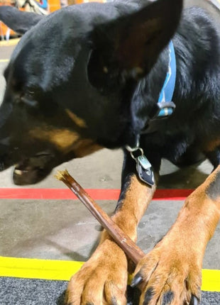 12 Inch Beef Jerky Stick