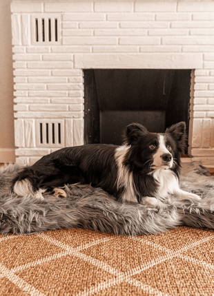 PupRug by Paw.com® Faux Fur Orthopedic Dog Bed - Curve Charcoal Grey