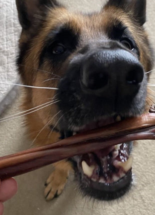 6 Inch Beef Jerky Stick