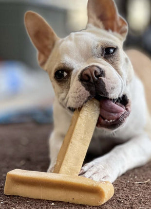 Himalayan Yak Chew (MEDIUM)