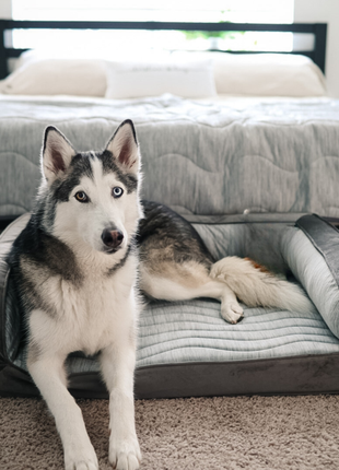 PupChill™ Cooling Bolster Dog Bed + Waterproof Blanket Bundle - Arctic Grey