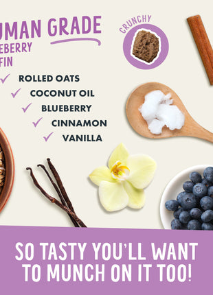 Crunchy Munchies Granola Bites-Blueberry Ruffin
