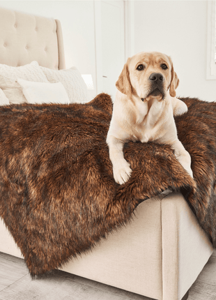 PupProtector™ Waterproof Throw Blanket - Brown